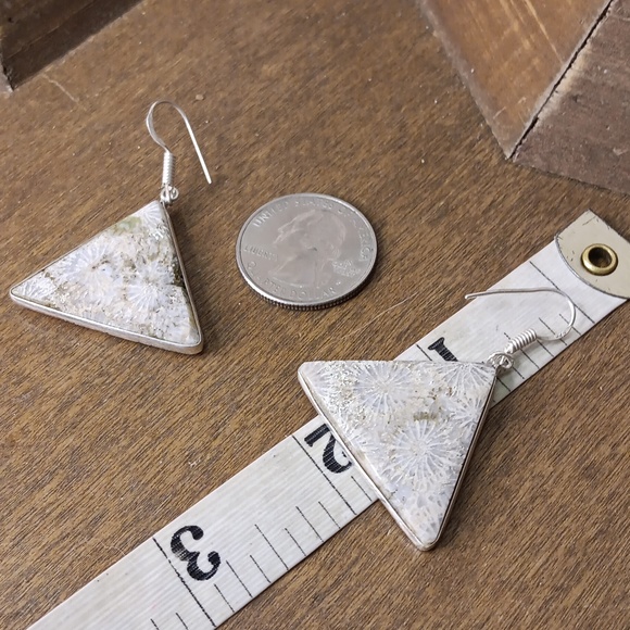 Fossil Coral gemstone earrings - Picture 2 of 4